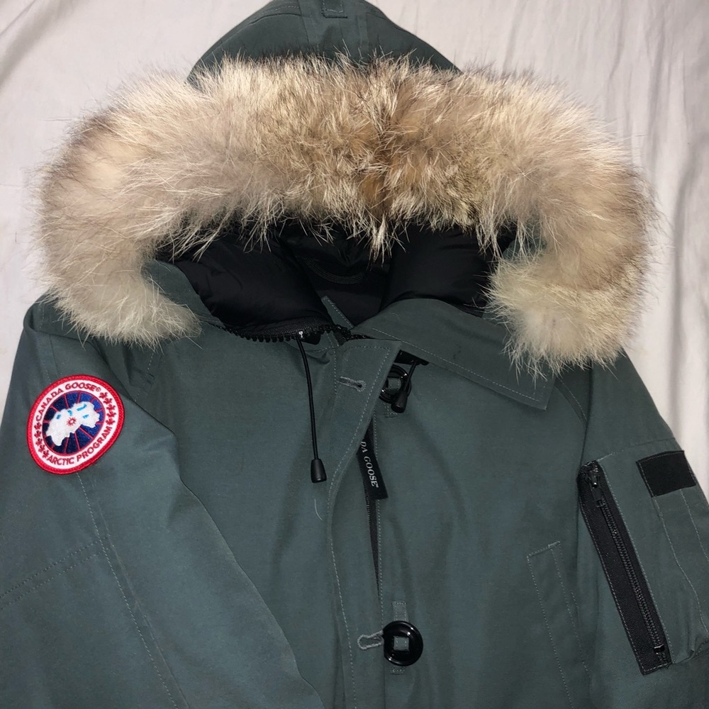 Canada Goose